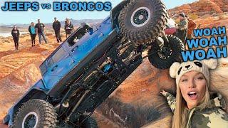 FORD BRONCOS vs JEEP WRANGLERS vs JEEP GLADIATORS Off Road!