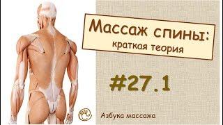 Массаж спины (краткая теория) | Урок 27, часть 1 | Уроки массажа