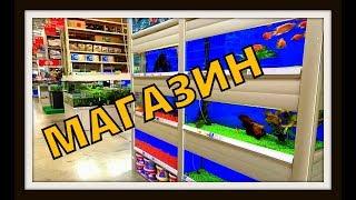 Зоомагазины с аквариумными рыбками. Аквариумное оборудование