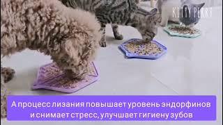 Миска для медленного поедания корма для собак и кошек