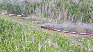 Waldsterben im Harz 2020 (Luftaufnahme / Drohne) / Forest decline in middle Germany by drone