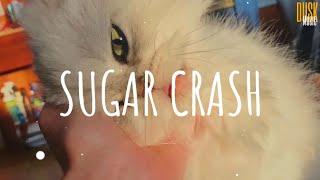 Sugar Crash - ElyOtto // (Vietsub + Lyric) Tik Tok Song