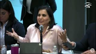 3. Senadora Mayuli Latifa Martínez Simón, en las comisiones unidas de Puntos Constitucionales