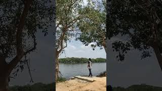 BTM Lake, Bangalore