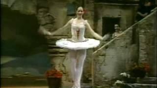 Don Quixote ABT 1983 Cynthia Harvey Kitri Variation Act3