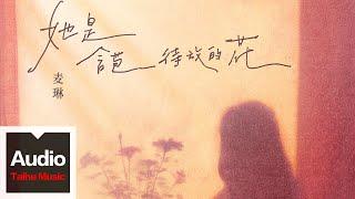 麥琳【她是含苞待放的花】HD 高清官方歌詞版 MV