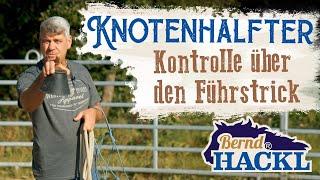 Knotenhalfter: Kontrolle über den Führstrick | HORSEMAN HACK 