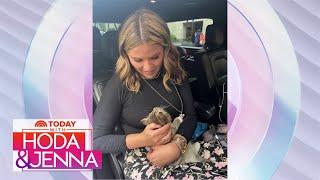 Jenna Bush Hager welcomes adorable new kitten to her family!