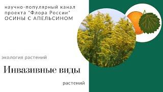 Инвазивные виды растений