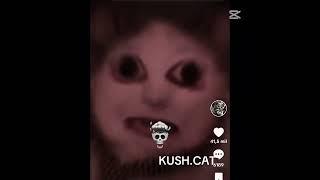 otros entes  kush.cat y retolam #edit