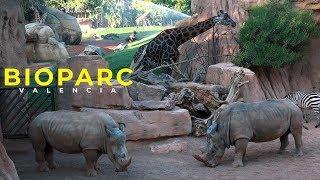 BIOPARC VALENCIA 4K