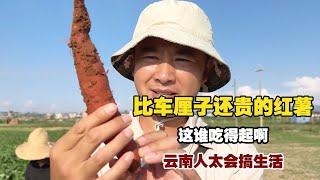 Yunnan’s life mastery: stir-fried pomegranate flowers, sweet potatoes costlier than lychees.