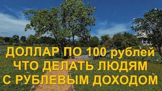 Доллар по 100 рублей. Что делать людям с рублевым доходом.