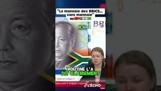 #brics #info #news