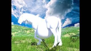 Horse's belly - Belly loop animation - Inflatable