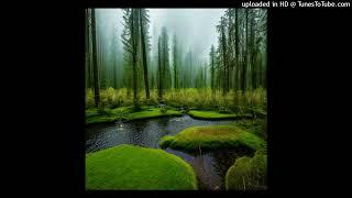 FREE perc40 x ambient x dark - type beat "62" @foragerrrrr
