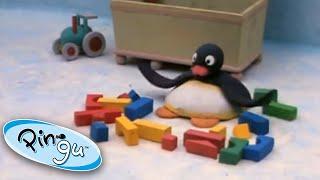 Pingu is Ignored  @Pingu - Official Channel Cartoons For Kids