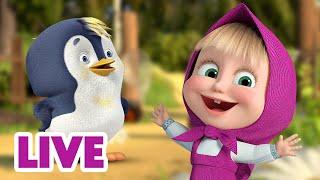  LIVE STREAM  Masha and the Bear  All creatures, big and small 