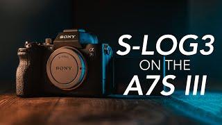 Sony A7S iii - How To Expose S-Log 3 The Correct Way!