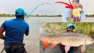 Float Fishing For Carp | Single Hook Big Fish | Amazing Fishing video | Fishing