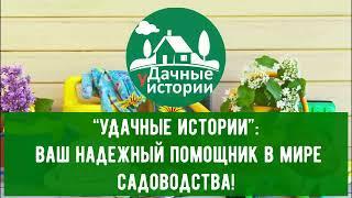  уДачные истории: Секреты & Советы 