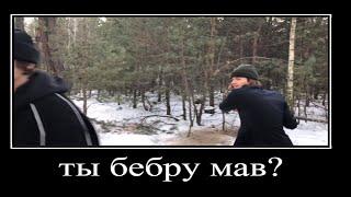 ты бебру мав? (нюхай бебру)