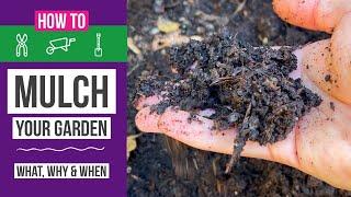 How to mulch your garden - What, why & when?