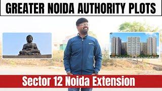 Sector 12 Noida Extension | Authority Plots In Noida Extension | Kisan Kota Abadi Plots #plotsinncr