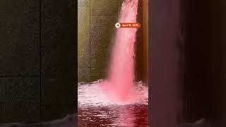 Greenpeace dyes US embassy pond blood-red