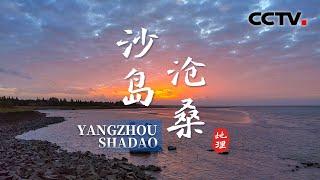 身处内陆的江心沙岛如何成为江水与海水的交汇之地？长江入海口的滩涂之下暗藏着哪些神秘生灵？20250619 山河奇观1·沙岛沧桑 | CCTV科教《地理·中国》