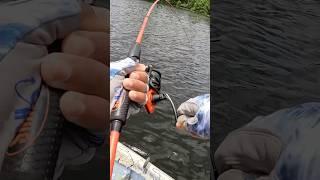 Largemouth Bass #fishing #fish