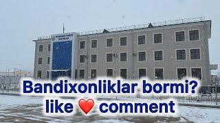 Bandixonliklar bormi? like️ comment gooo