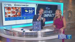 10 Tampa Bay Weather; Father's Day 2025