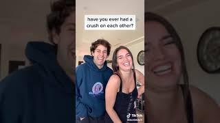 David dobrik girl housemate nope yup are any of these lies Tik Tok @daviddobrik