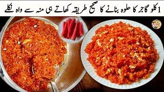 1 Kg Gajar Ka Halwa Recipe|Carrot Halwa Recipe by Roshni Cooking