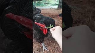 They're very curious 