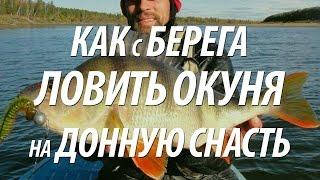 РЫБА ОКУНЬ С БЕРЕГА. ДОННАЯ СНАСТЬ ДЛЯ УСПЕШНОЙ РЫБАЛКИ НА ОКУНЯ