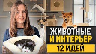 12 крутых идей для домашних животных в интерьере