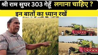 श्रीराम सुपर 303 लगाने से पहले इन बातों का ध्यान रखें|wheat crop