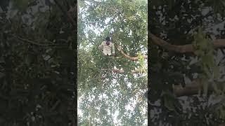 bihar home guard police line  #newsong #yt #comedy #homeguard #running #youtuberchannel #