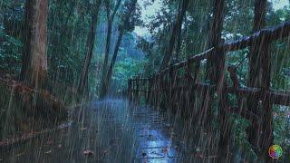 Rain and thunder sounds of beautiful woods, healing soothing thunderstorm sounds asmr, nature music