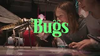 "Bugs" at the Denver Museum of Nature & Science