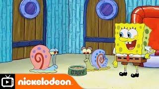 SpongeBob SquarePants | Snail Sanctuary | Nickelodeon UK