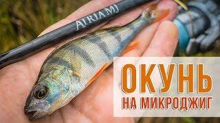 Окунь на микроджиг