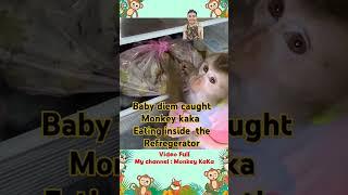 baby diem  caught monkey kaka eating inside the refrigerator so funny #monkeykaka  #monkey4u  #kaka