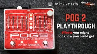 Electro Harmonix - POG2 (Effects You Can Get Out From This Pedal Which You Didn't Know)