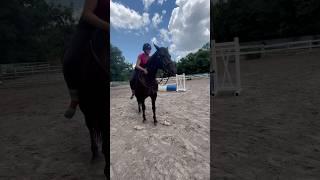 Around the world on Fern bareback. #horse #equestrianjourney #horseenthusiast #horsetrack #horsefan