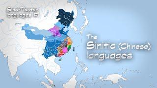 The History of the Sinitic (Chinese) Languages