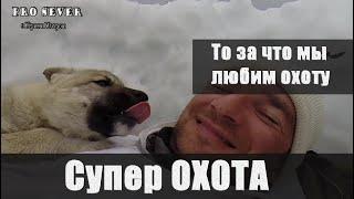 Лучшие моменты охоты. Охота на гуся. Охота на утку. Охота весной.