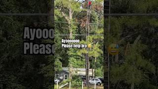 WILD WEST  #funny #dangerous #subscribe #safety #treeindustry #trending